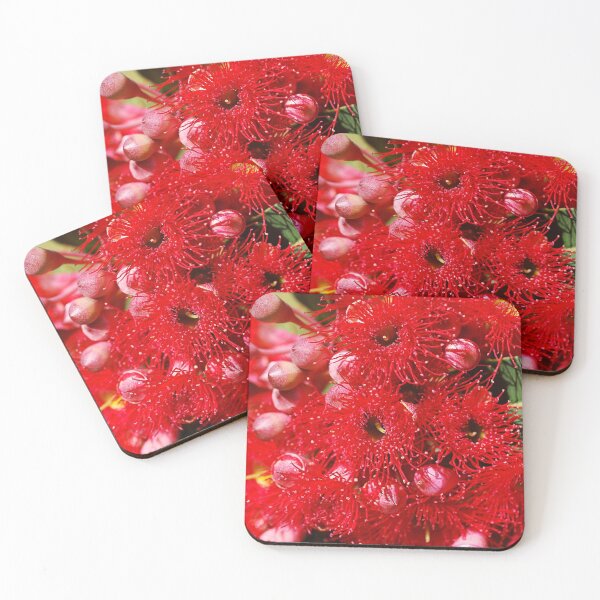 Item preview, Eucalyptus Red Flowers Of Corymbia Ficifolia  designed and sold by Joy Watson - Natural Light Photography .