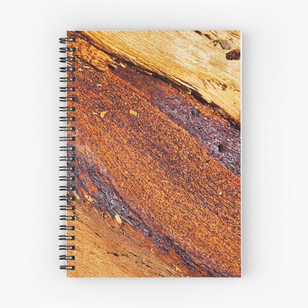 Item preview, Eucalyptus Tree In Layers designed and sold by Joy Watson - Natural Light Photography .