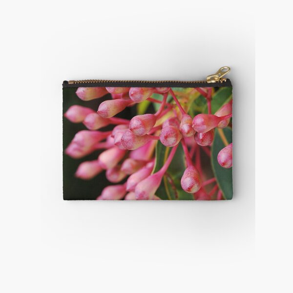 Item preview, Corymbia Ficifolia Eucalyptus Red In Buds designed and sold by Joy Watson - Natural Light Photography .
