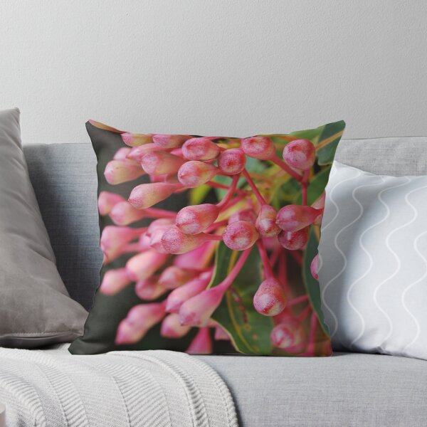 Item preview, Corymbia Ficifolia Eucalyptus Red In Buds designed and sold by Joy Watson - Natural Light Photography .