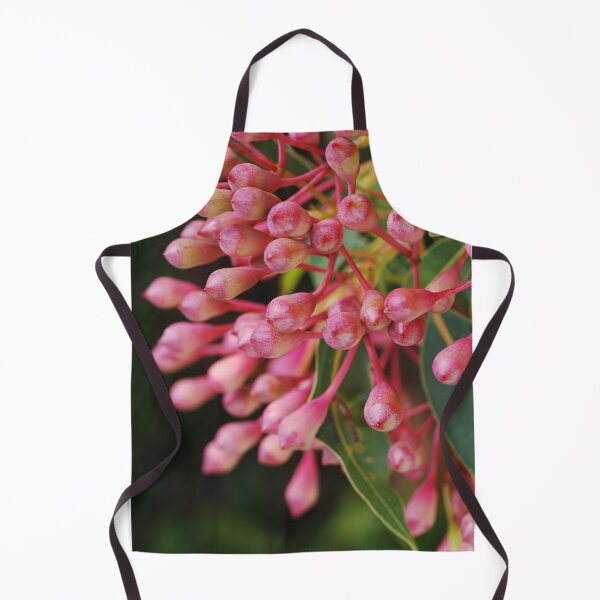 Item preview, Corymbia Ficifolia Eucalyptus Red In Buds designed and sold by Joy Watson - Natural Light Photography .