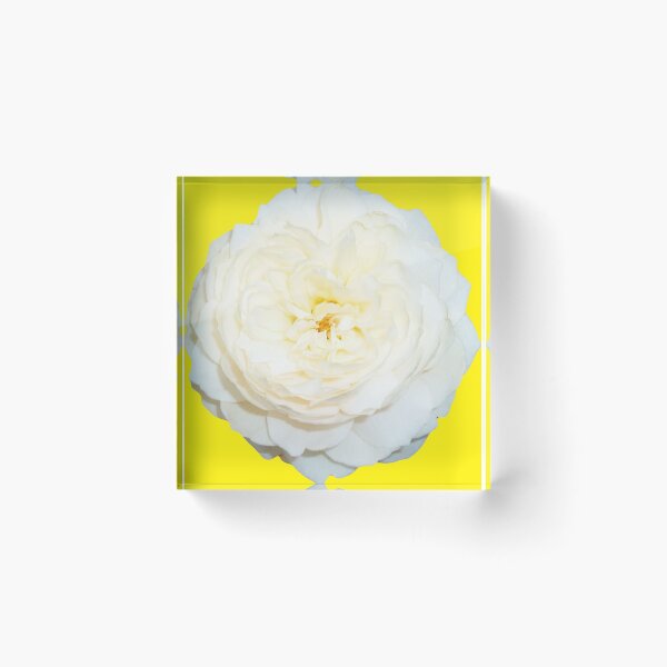 Item preview, 67487005 designed and sold by RealFlower.