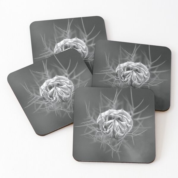 Item preview, Nigella Flower Round Bud Black and White designed and sold by Joy Watson - Natural Light Photography .