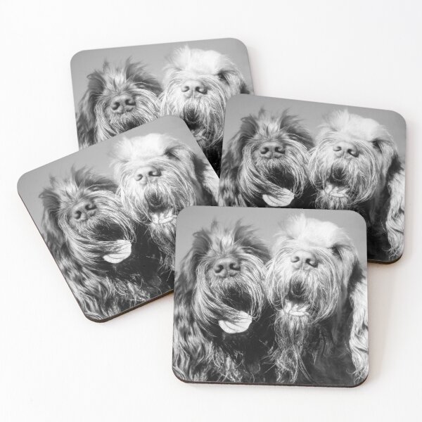 Item preview, Spinone Soul Magnets by heidiannemorris designed and sold by FOLK ART FUSION.