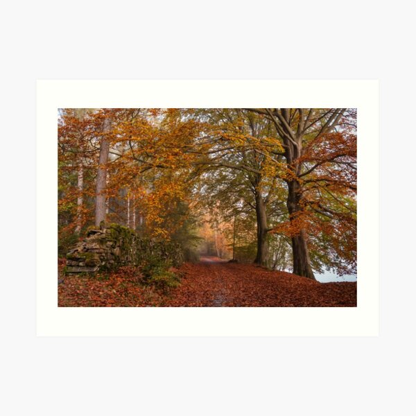Autumn Colours Art Print