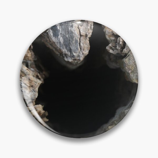 Item preview, Top Down View of Cut Tree Trunk designed and sold by Sinemathk.