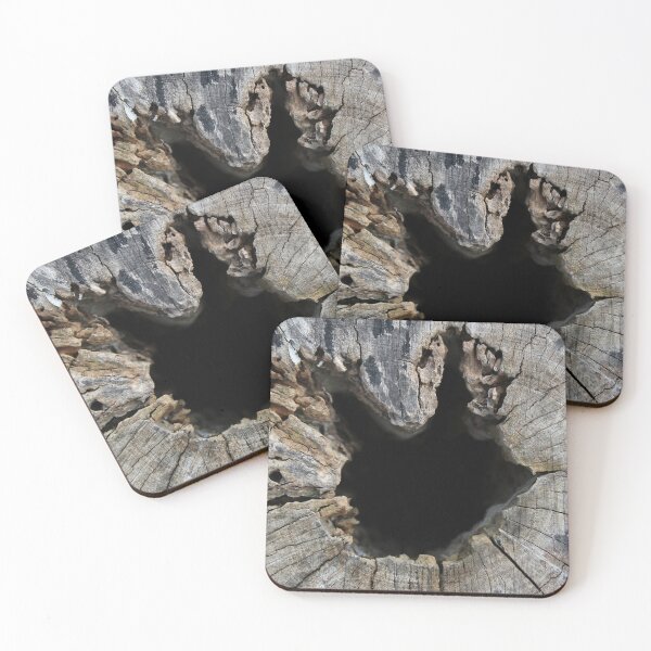 Item preview, Top Down View of Cut Tree Trunk designed and sold by Sinemathk.