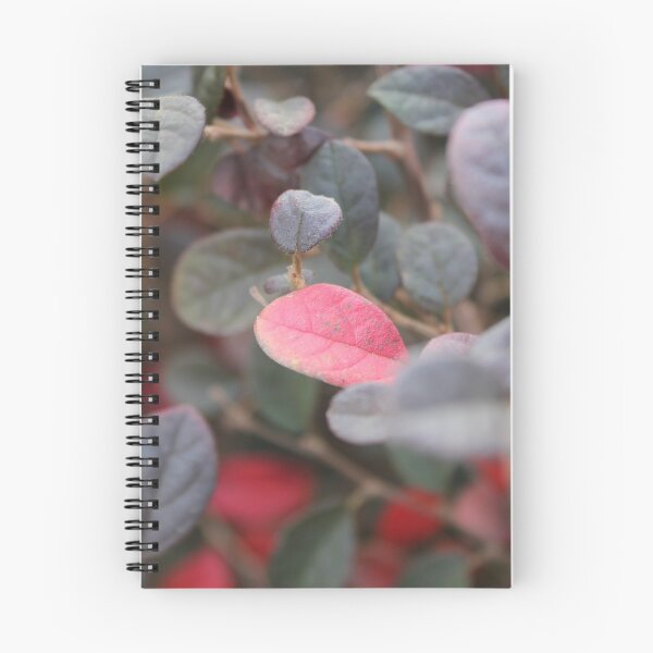 Item preview, Single Red Leaf in Leaves designed and sold by Sinemathk.