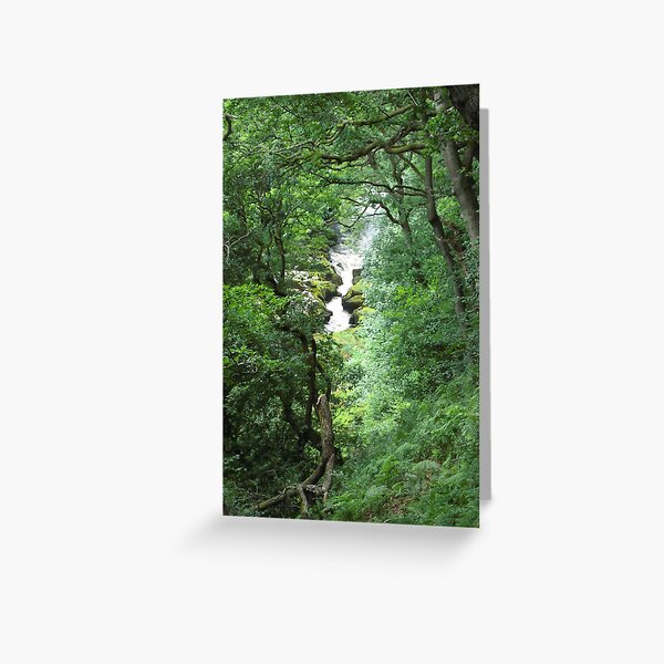River Wharfe, Near Bolton Abbey Greeting Card