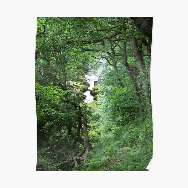 River Wharfe, Near Bolton Abbey Poster