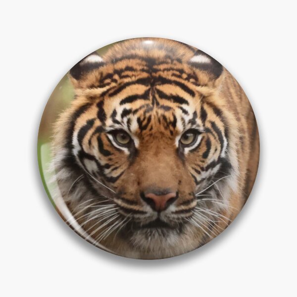 Item preview, That look designed and sold by Sheila Smith.