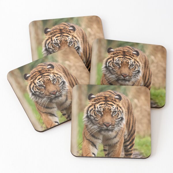 Item preview, That look designed and sold by Sheila Smith.