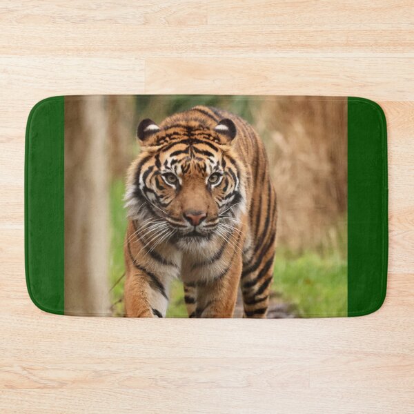 Item preview, That look designed and sold by Sheila Smith.