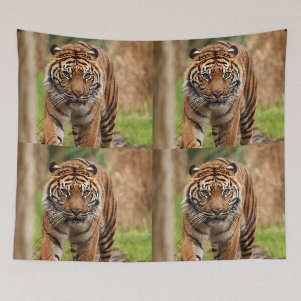 Item preview, That look designed and sold by Sheila Smith.