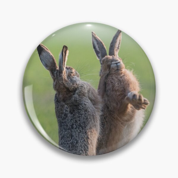 Item preview, Boxing match of the brown hares designed and sold by Ingo Gerlach.