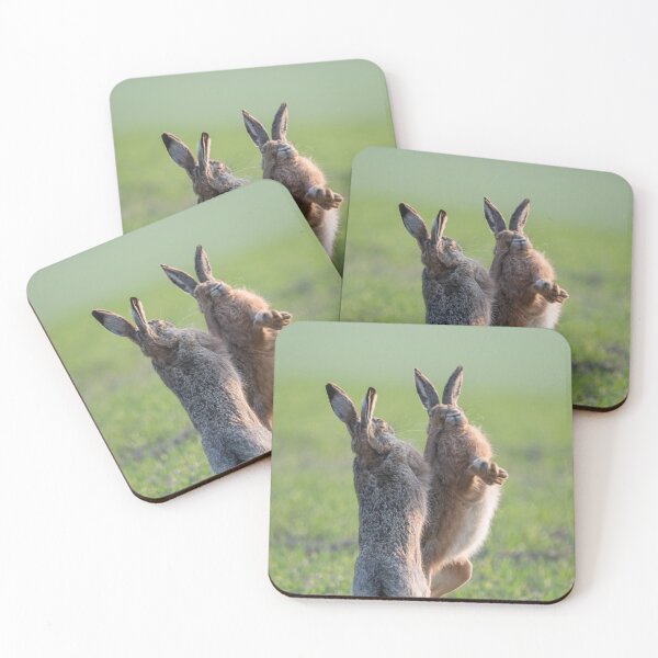 Item preview, Boxing match of the brown hares designed and sold by Ingo Gerlach.