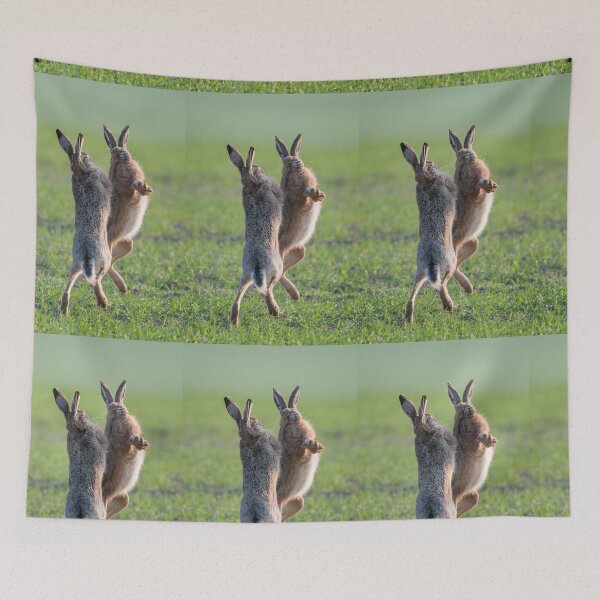 Item preview, Boxing match of the brown hares designed and sold by Ingo Gerlach.