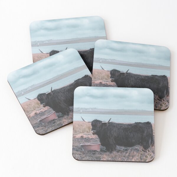 Item preview, Vintage photography - Highland Cow, Thurso, Scotland designed and sold by NatureSight.
