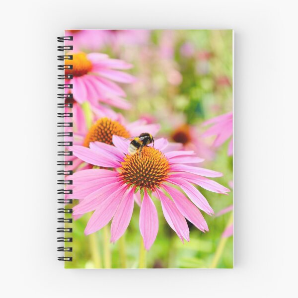 Item preview, Bumblebee on Echinacea designed and sold by Mihaela Limberea.