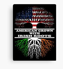 American Irish Canvas Print