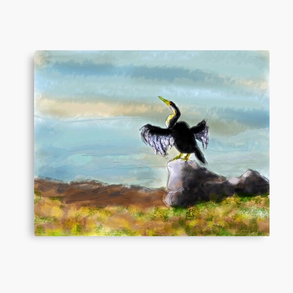 Darter Canvas Print