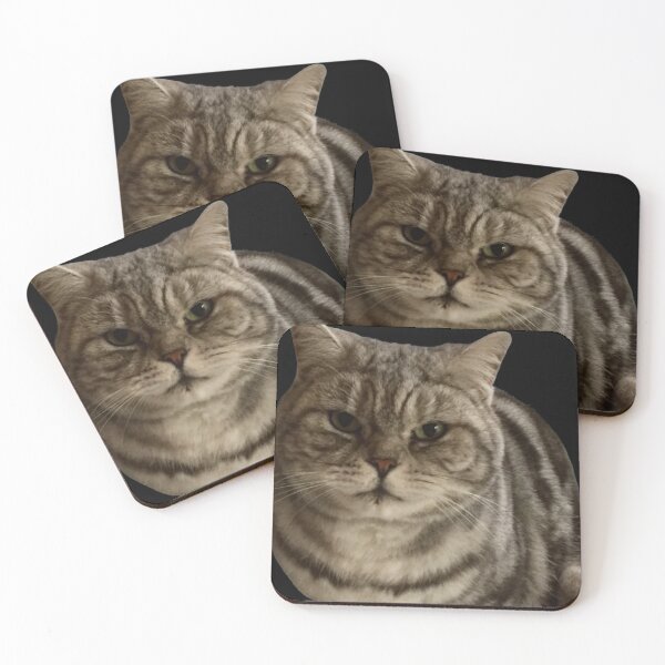 Item preview, molly   “Sniff Sniff”  British short hair,silver tabby  designed and sold by Angela Haig-Harrison.