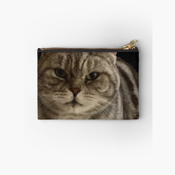 Item preview, molly   “Sniff Sniff”  British short hair,silver tabby  designed and sold by Angela Haig-Harrison.