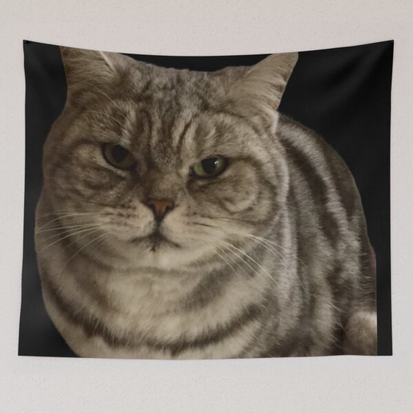 Item preview, molly   “Sniff Sniff”  British short hair,silver tabby  designed and sold by Angela Haig-Harrison.