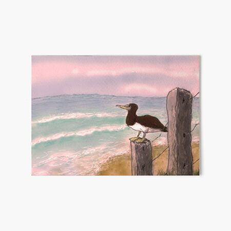 Booby bird - sunset Art Board Print