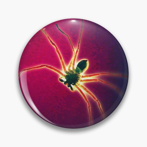 Item preview, Huntsman spider designed and sold by Anne Huth.