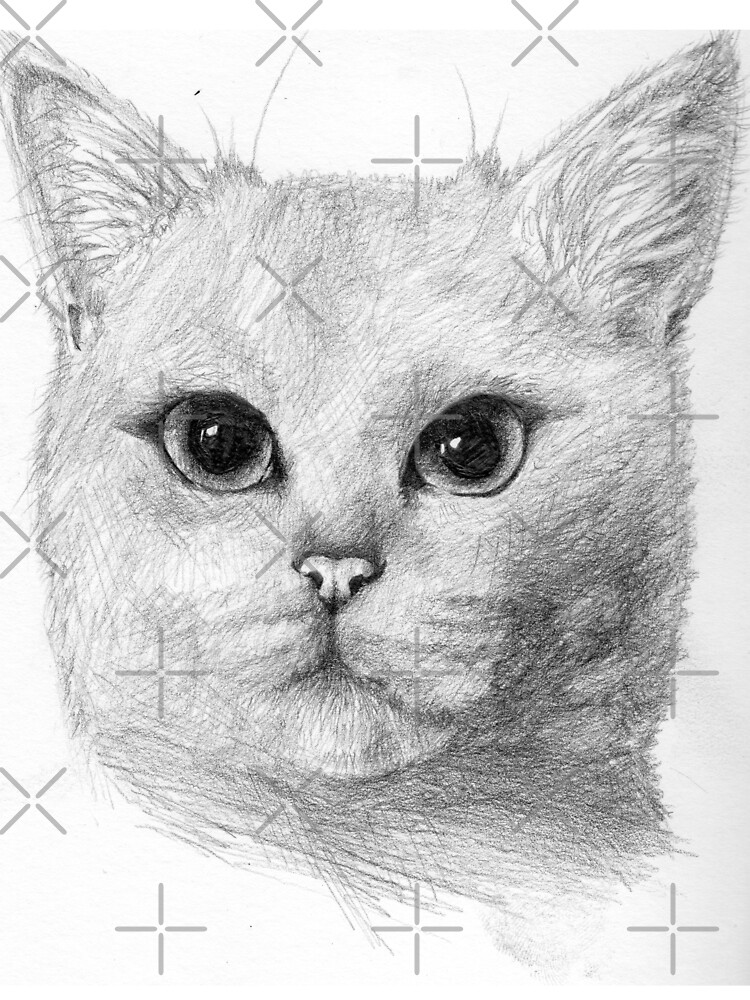 How To Draw Realistic Cat Eyes - Nevue Fine Art Marketing