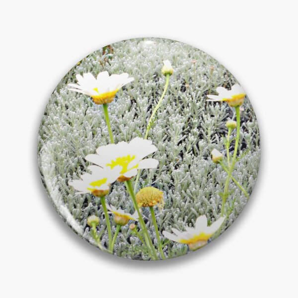 Item preview, Daisies - Greece designed and sold by Anne Huth.
