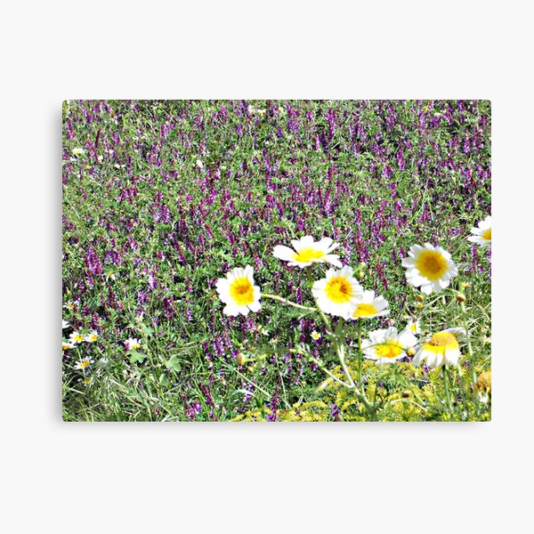 Flowers in Greece Canvas Print