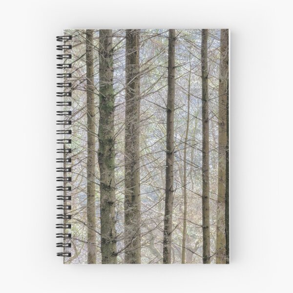 Aperçu de l'œuvre Wintry forest créée et vendue par Leighton Collins.