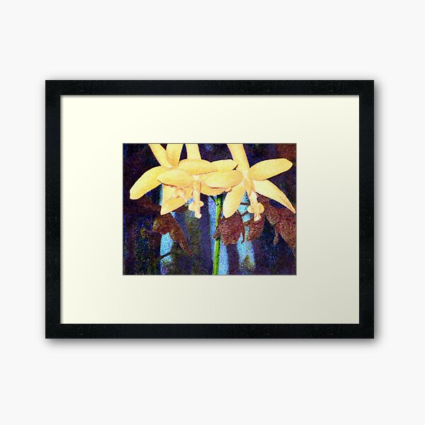 From the Orchid House 4 Framed Art Print