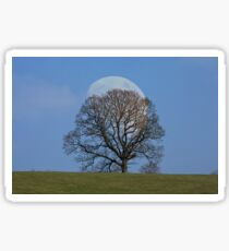 Moonlit Sticker