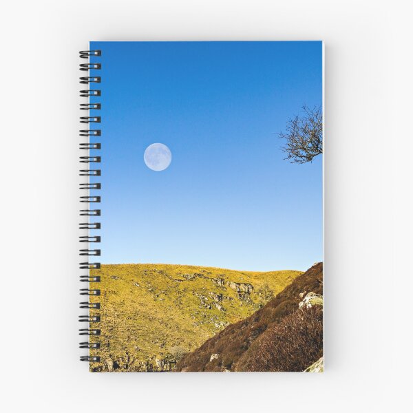 Item preview, Moon and Tree - Upper Teesdale designed and sold by David Lewins.