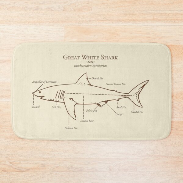 Item preview, Sharks Composition designed and sold by JarlBontime.