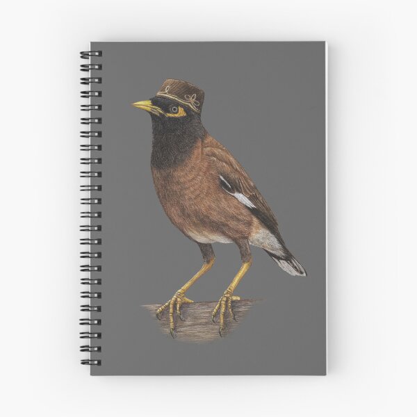 Item preview, Common myna designed and sold by Nemonvmv.