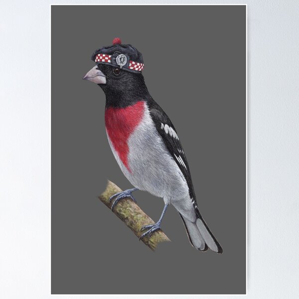Item preview, Rose-breasted Grosbeak designed and sold by Nemonvmv.