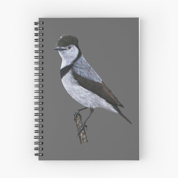 Item preview, White-fronted chat designed and sold by Nemonvmv.