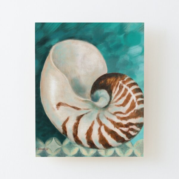 Nautilus Shell Wall Art Redbubble