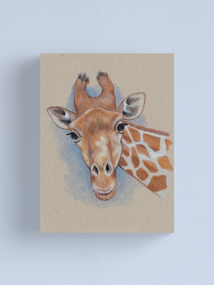 50+ Inspiring Color Pencil Drawings of Animals By Katy Lipscomb