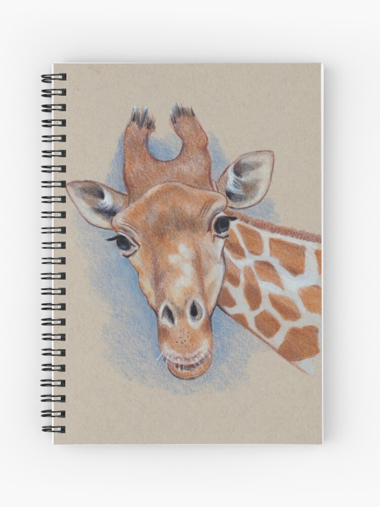 Cute Giraffe: Animal, Colour Pencil Drawing\