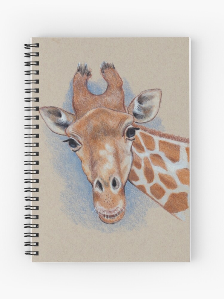 Cute Giraffe: Animal, Colour Pencil Drawing