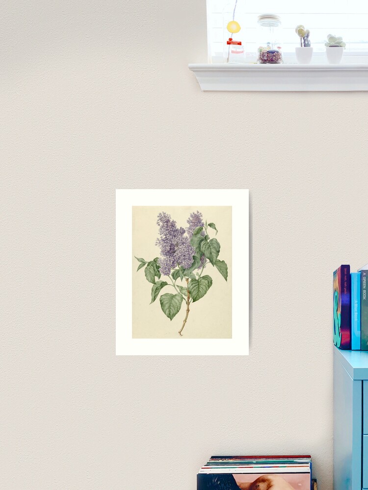 Imagen 1 de 3, Lámina artística con la obra Lila Botanical Print, diseñada y vendida por fineearth.