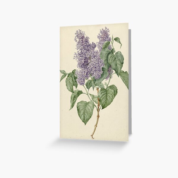 Invitation Cards (Botanicals) - Others - Greeting Cards - Card