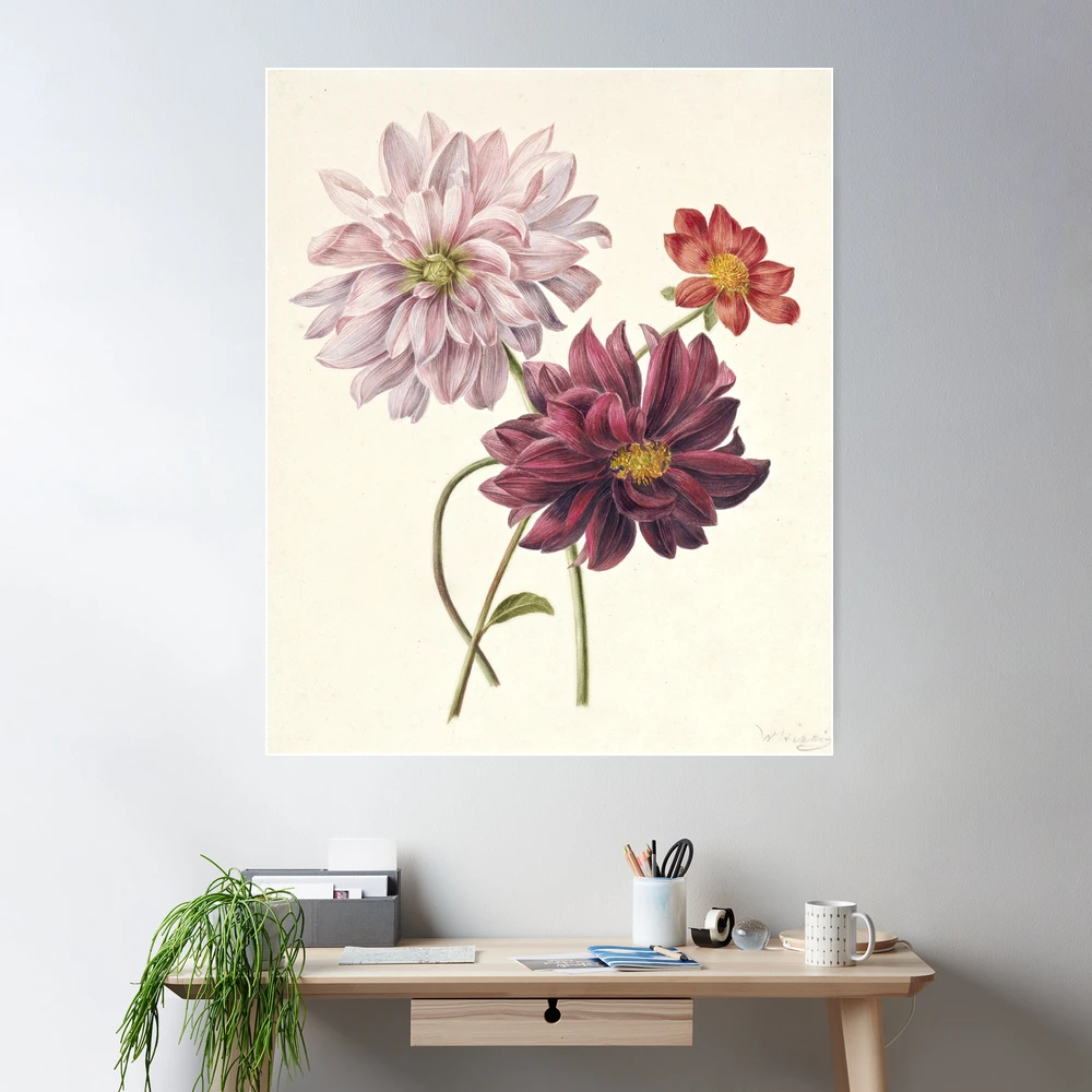 Dahlia Vintage Botanical Print