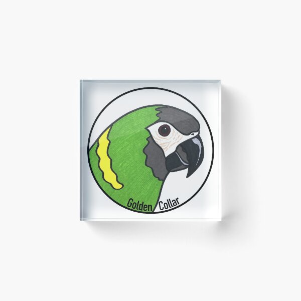 Item preview, Golden Collared Macaw designed and sold by Joe Richichi.