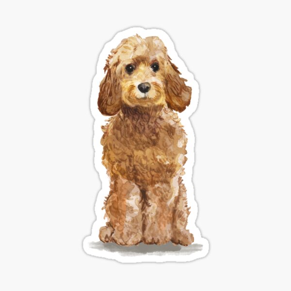 Cute Cockapoo | Watercolor dog art Sticker
